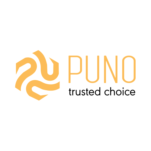 Tuyển dụng nhân viên thiết kế đồ hoạ 2D/3D 1 LOGO PUNO 1