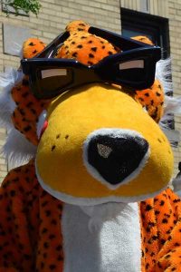 Top những cách nâng tầm giá trị mascot quảng cáo 12 Top những cách nâng tầm giá trị mascot quảng cáo