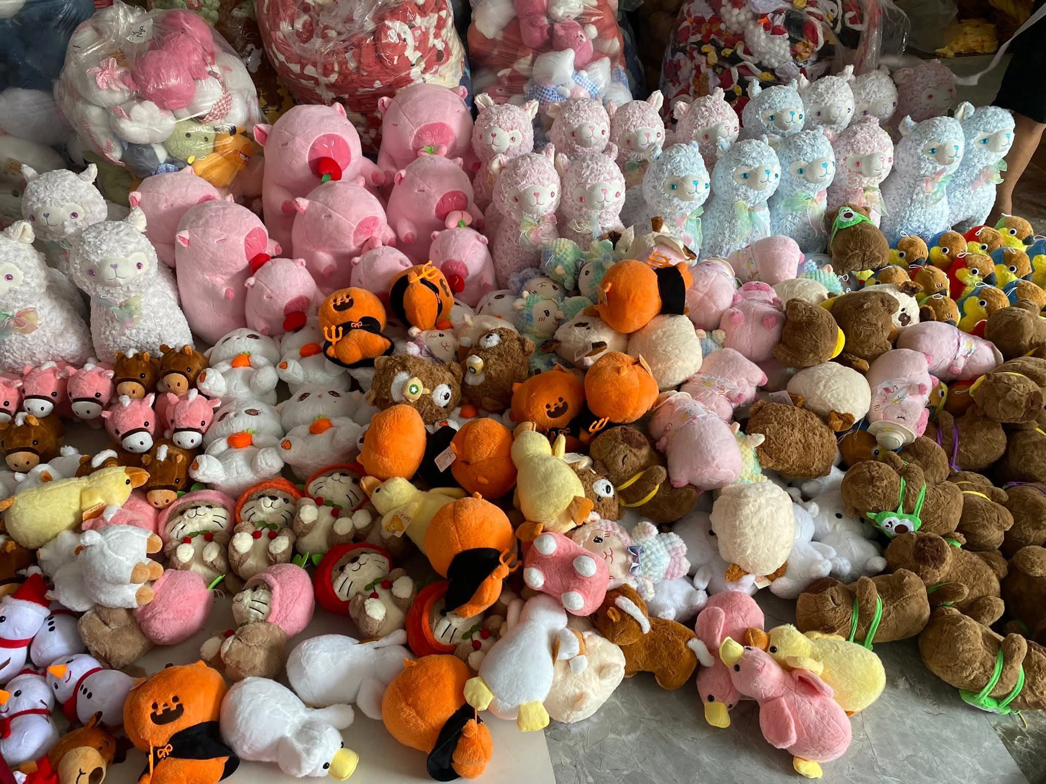 589570807 3297851487040200 7331788668780928705 n